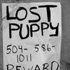 lost