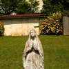 lawn