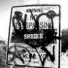 shrike#1 ride&seek