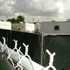 fema livin