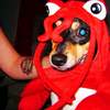 deuce in costume