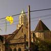 cathedral and flower