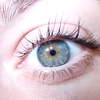 camillas eye