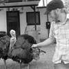 Turkey tag