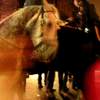 cop horse noble enough