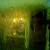 monsoon