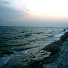 the Gulf