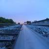the levee way