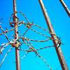 tangle