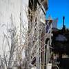twigs and tombs