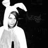 david the surly bunny