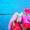cinderblock and flowers