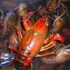 crawfish boil