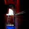 my buildings hallway with curious seeka